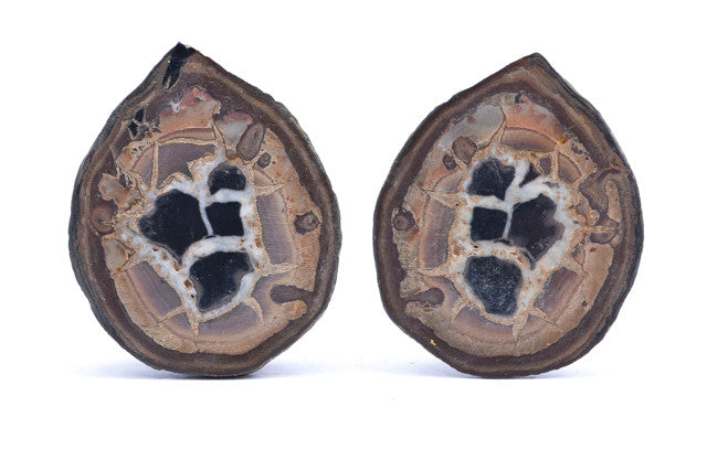 Septarian Natural