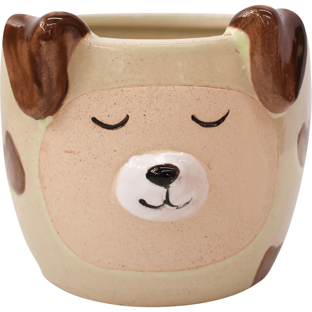 Planter Honey Bear