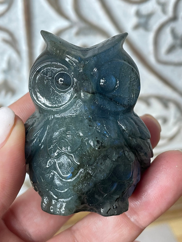 Labradorite Owl