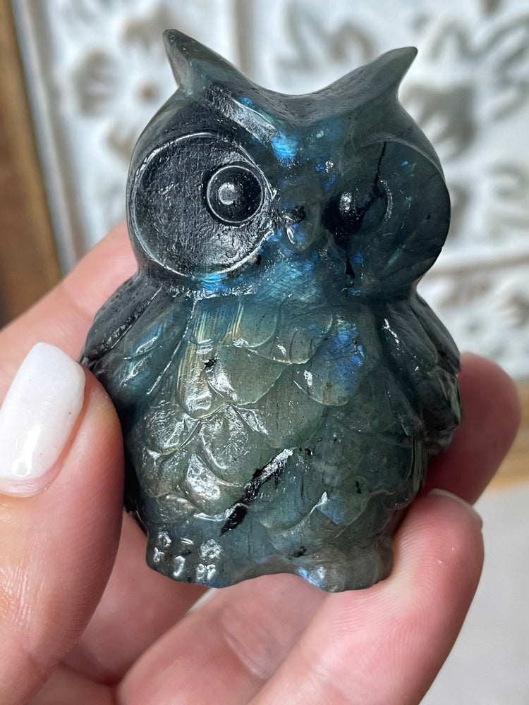 Labradorite Owl