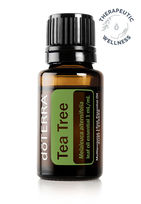 Tea Tree (Melaleuca alternifolia) - 15mL